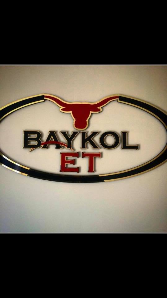 Baykol Et - İdeal Temizlik referansı